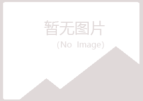 东明县盼山能源有限公司